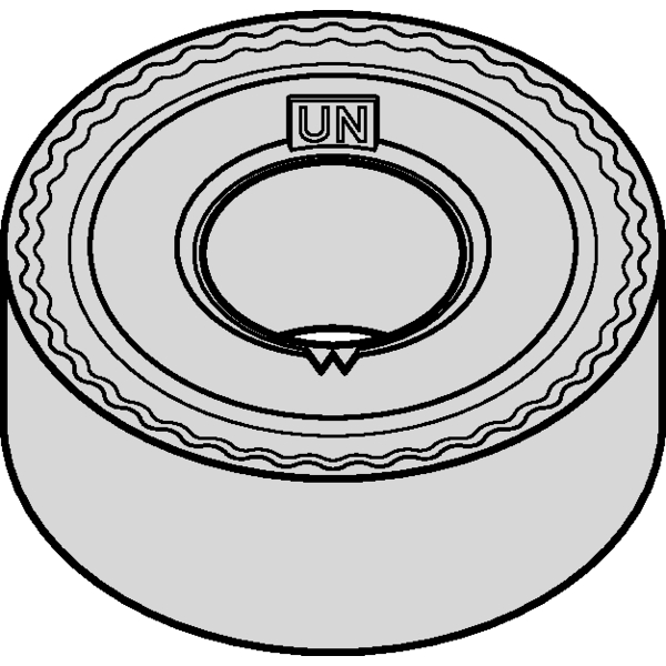 ANSI/ISO Turning Insert RN..