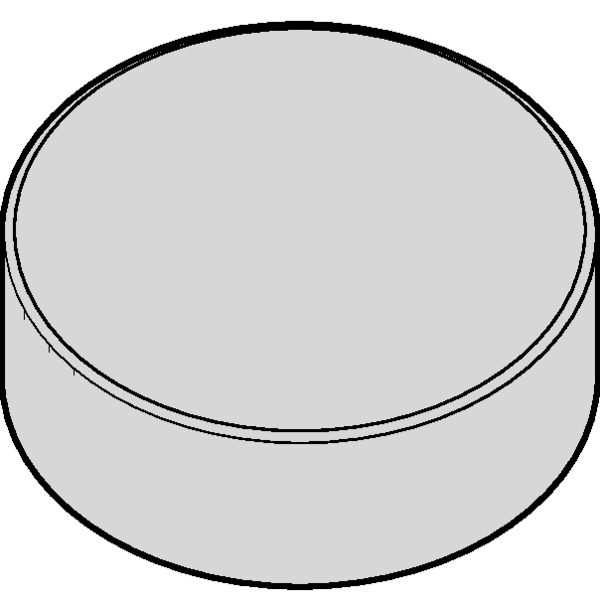 ANSI/ISO Turning Insert RN..