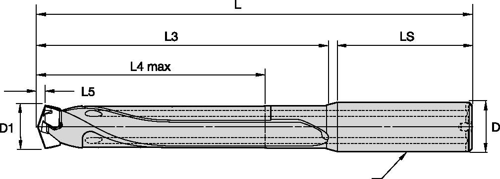 TDM1 DRILL BODY 5XD D=0.3150